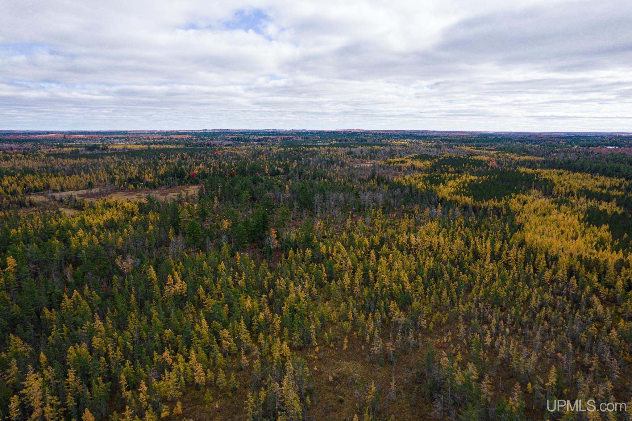 160 Acres Stella Lake Road Wetmore, MI 49895 - Photo 7 of 28