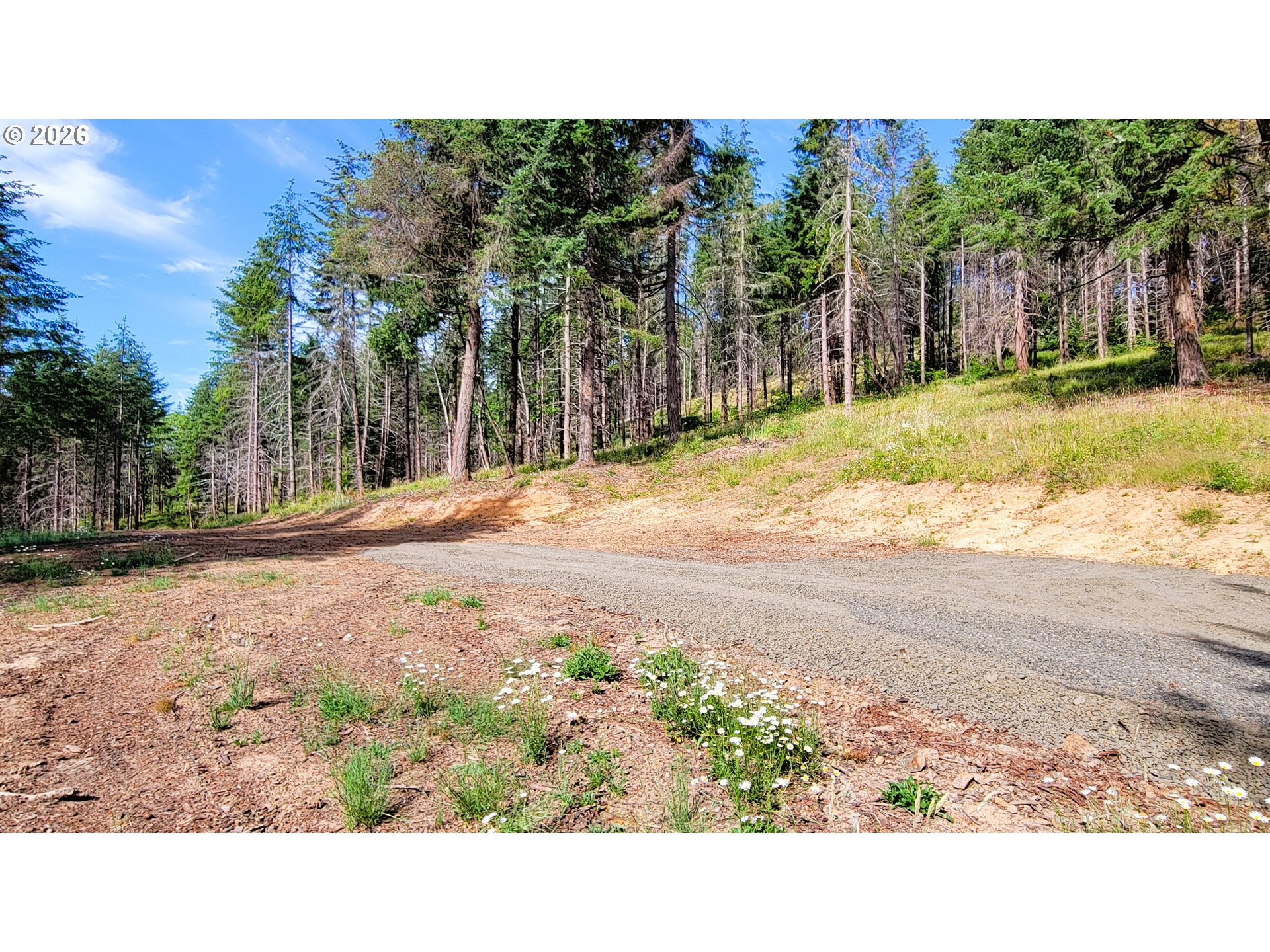 Branch Road, Unit 108 Eugene, OR 97402 - Photo 4 of 18