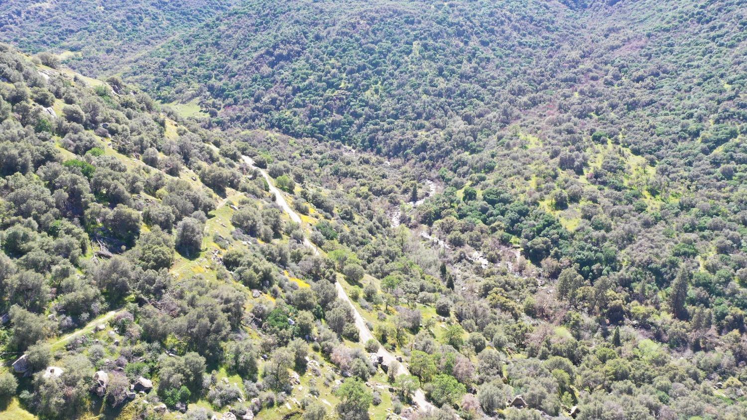 1 South Fork Drive Three Rivers, CA 93271 - Photo 1 of 18