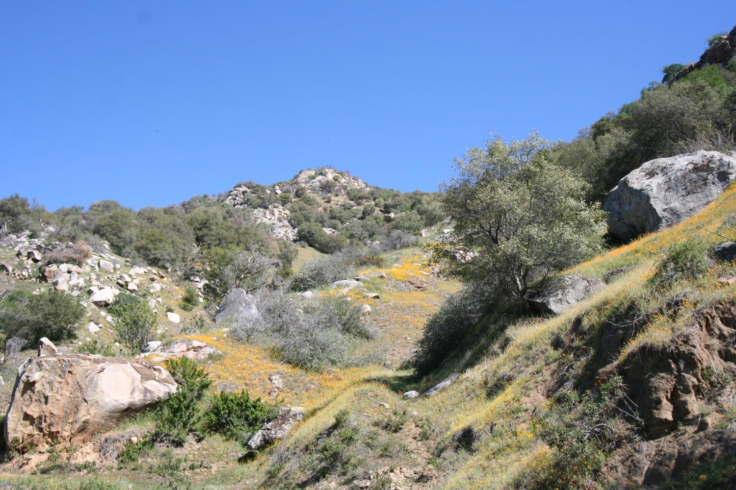 1 South Fork Drive Three Rivers, CA 93271 - Photo 16 of 18 a view of mountains
