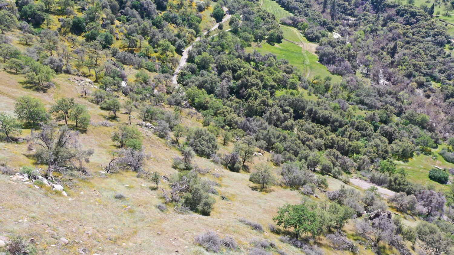1 South Fork Drive Three Rivers, CA 93271 - Photo 4 of 18 a view of a dry yard
