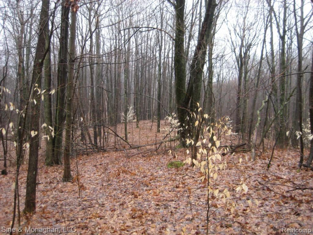 Nine East Mile Road Fruitport, MI 49415 - Photo 3 of 7