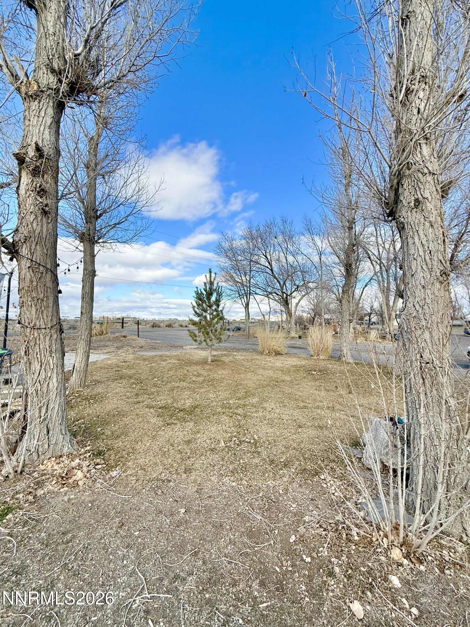 2160 East Horseshoe Road Battle Mountain, NV 89820 - Photo 11 of 41 2160 Horseshoe yard