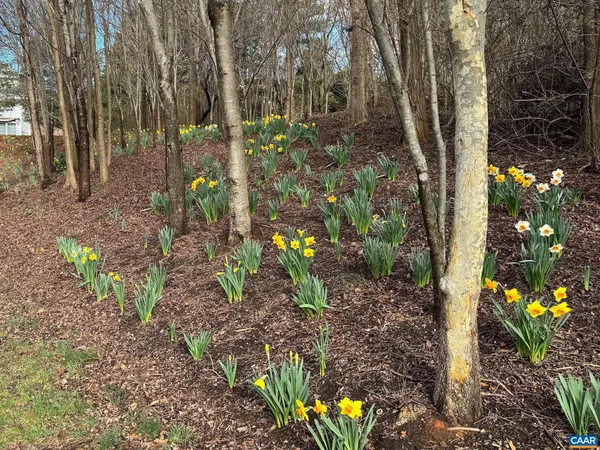 $195,000 | Tbd Edmond Drive, Unit 16D, Crozet, VA 22932