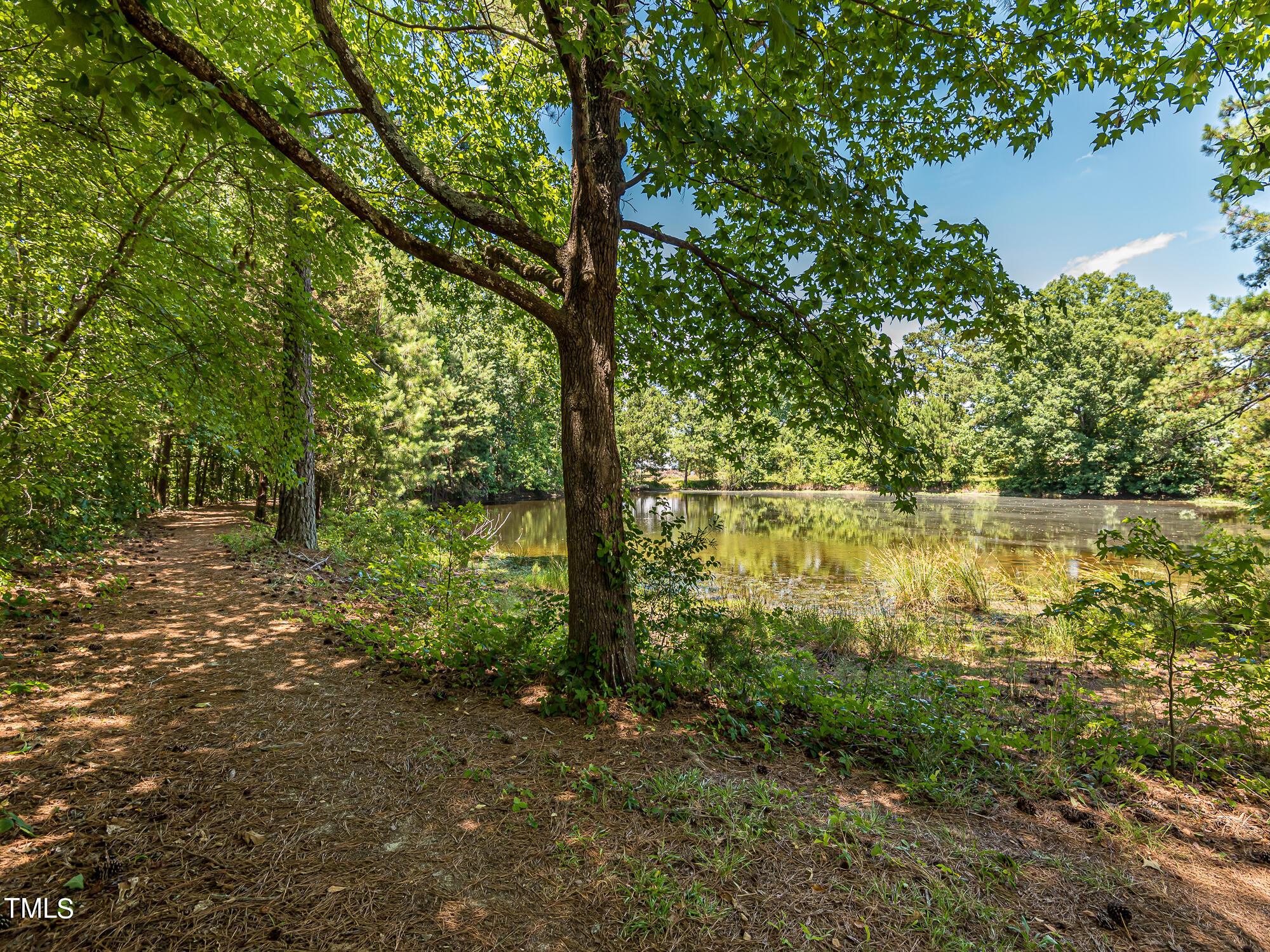 3080 Wren Road Creedmoor, NC 27522 - Photo 47 of 47 InTrust_Realty_Lee_3080_Wren-7821