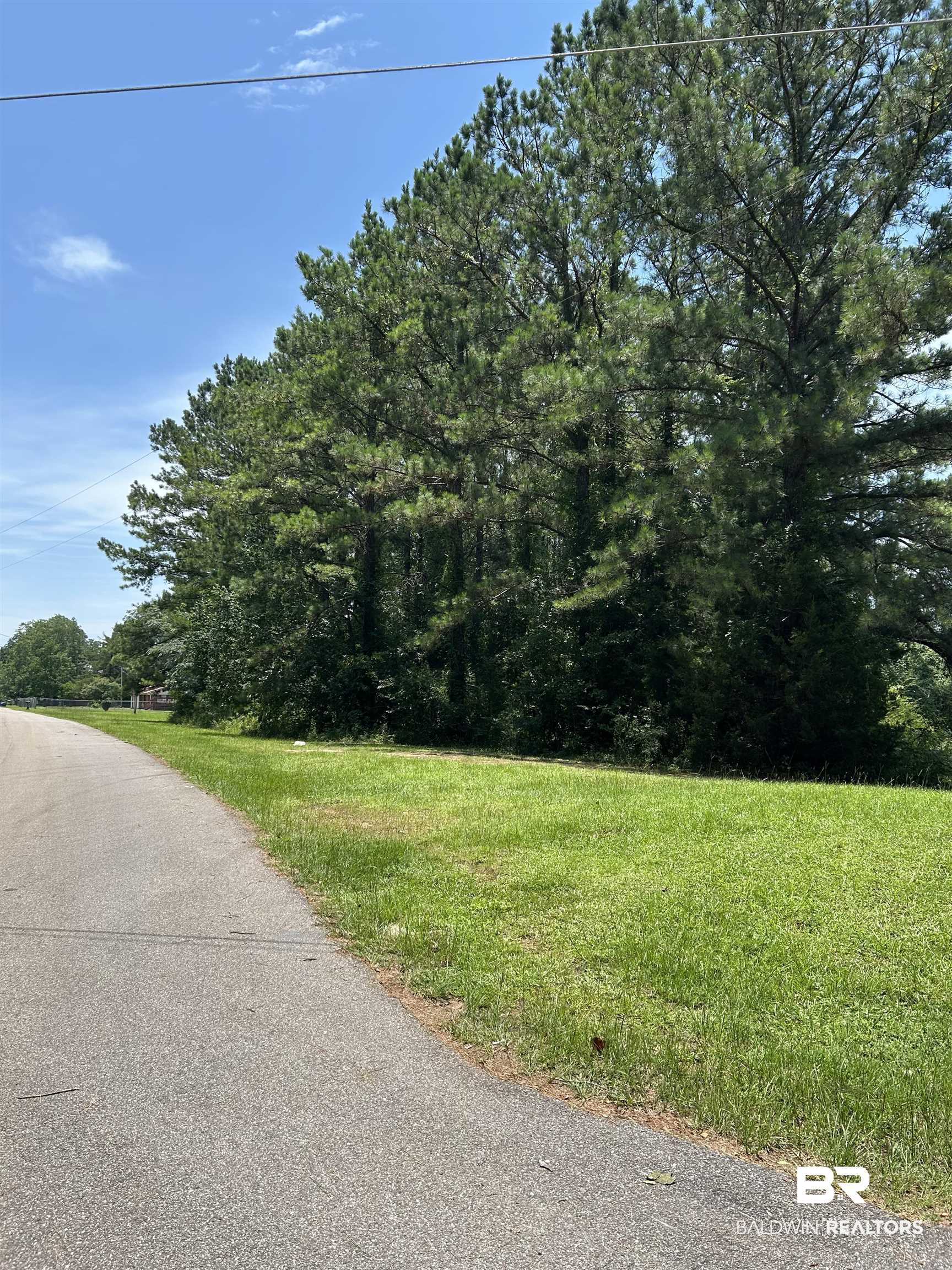 0 Factory Street Evergreen, AL 36401 - Photo 5 of 9 View of asphalt road