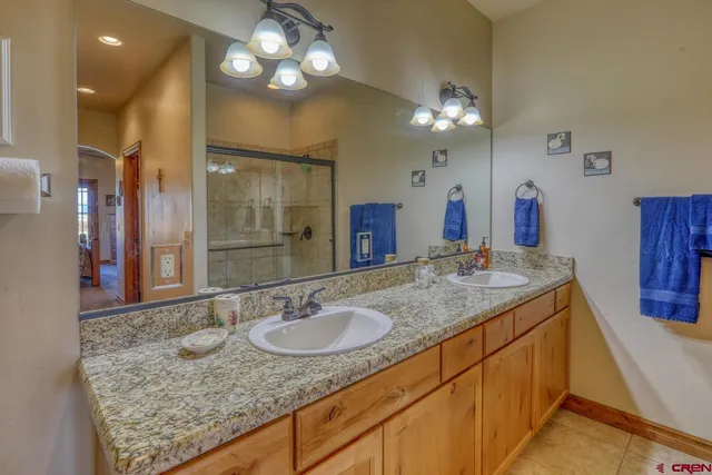 a bathroom with a granite countertop sink a large mirror and a shower