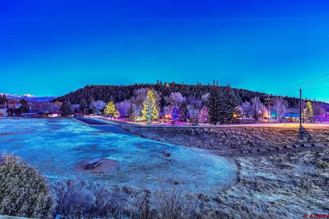 a view of a bunch of trees
