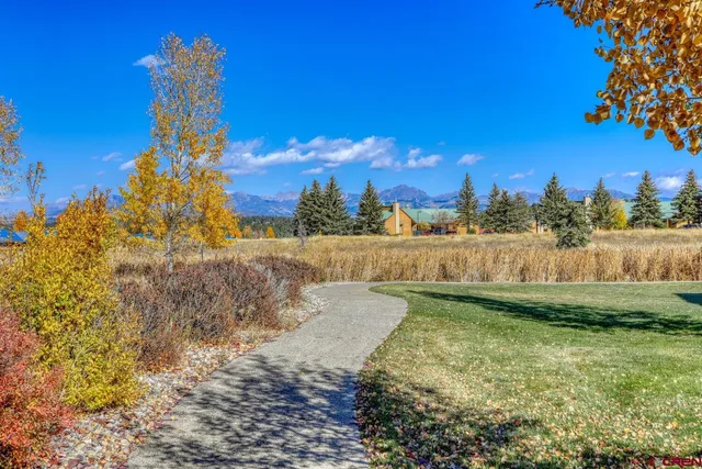 a view of a yard with swimming pool and trees in the background