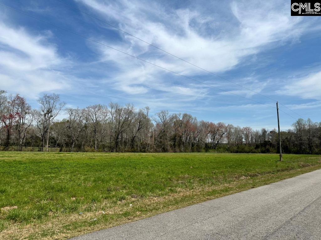 Pleasant Grove Road Loris, SC 29569 - Photo 12 of 13