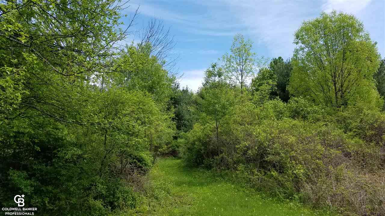 9866 Brandon Road Avoca, MI 48006 - Photo 22 of 30 This is another view of the field.