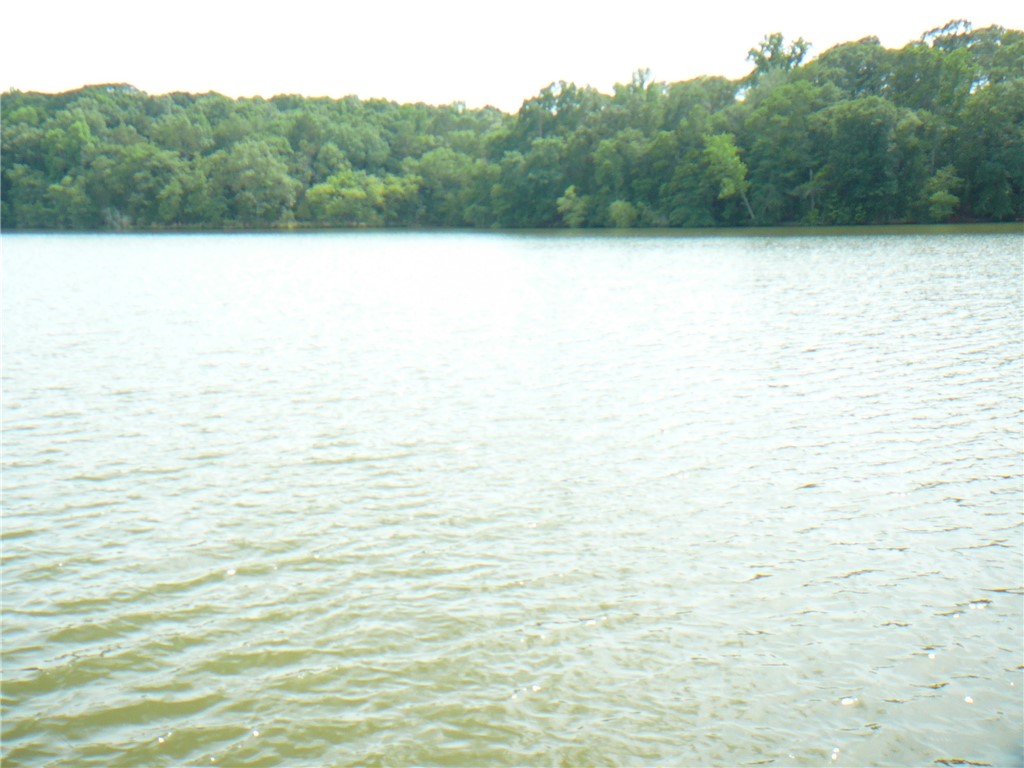 109 Lanier Pruitt Road Anderson, SC 29621 - Photo 13 of 18