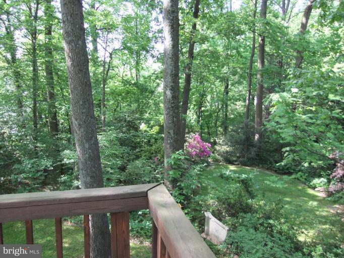 6306 Dahlonega Road Bethesda, MD 20816 - Photo 13 of 16 Wooded View / Acreage