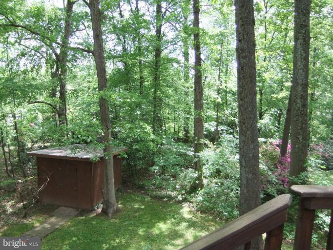 6306 Dahlonega Road Bethesda, MD 20816 - Photo 3 of 16 Back yard