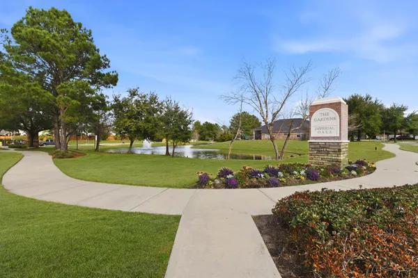a view of a park with large trees