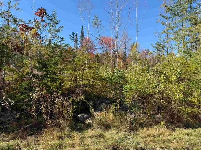 $69,000 | Lot 20 Hartco Avenue, Lancaster, NH 03584