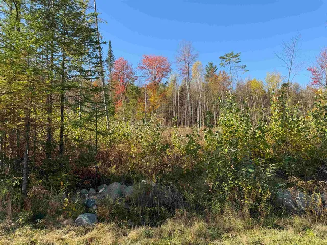 $69,000 | Lot 20 Hartco Avenue, Lancaster, NH 03584