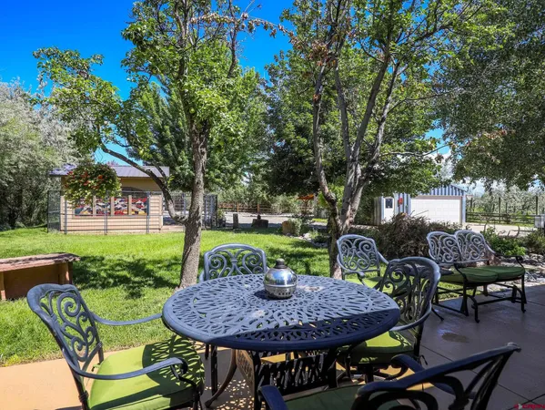a view of a yard with a tree