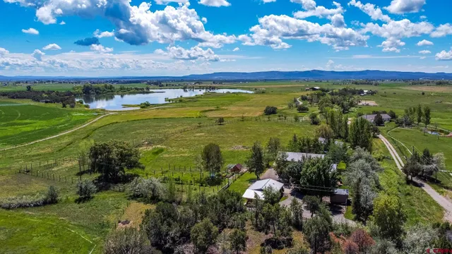 a view of a city with lots of palm trees