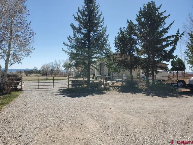 a view of a yard with a tree