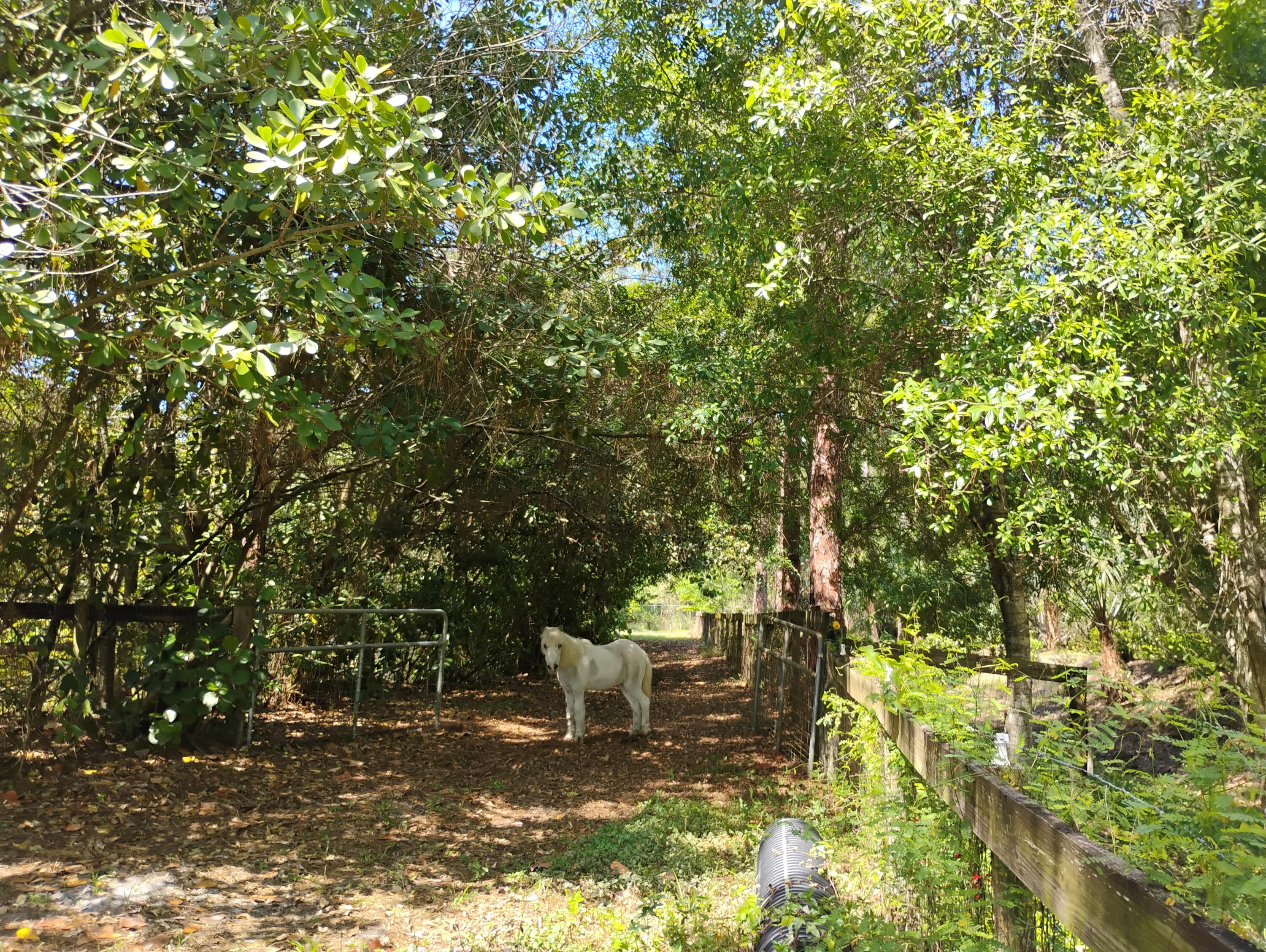 15531 42nd Road North Loxahatchee Groves, FL 33470 - Photo 13 of 62 IMG_20260326_145004623