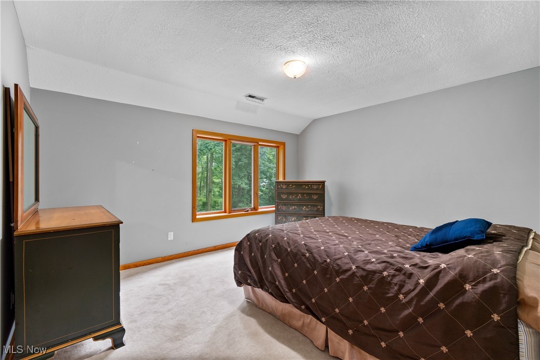 7098 Taylor Road Clinton, OH 44216 - Photo 28 of 39 Carpeted bedroom featuring a textured ceiling and lofted ceiling
