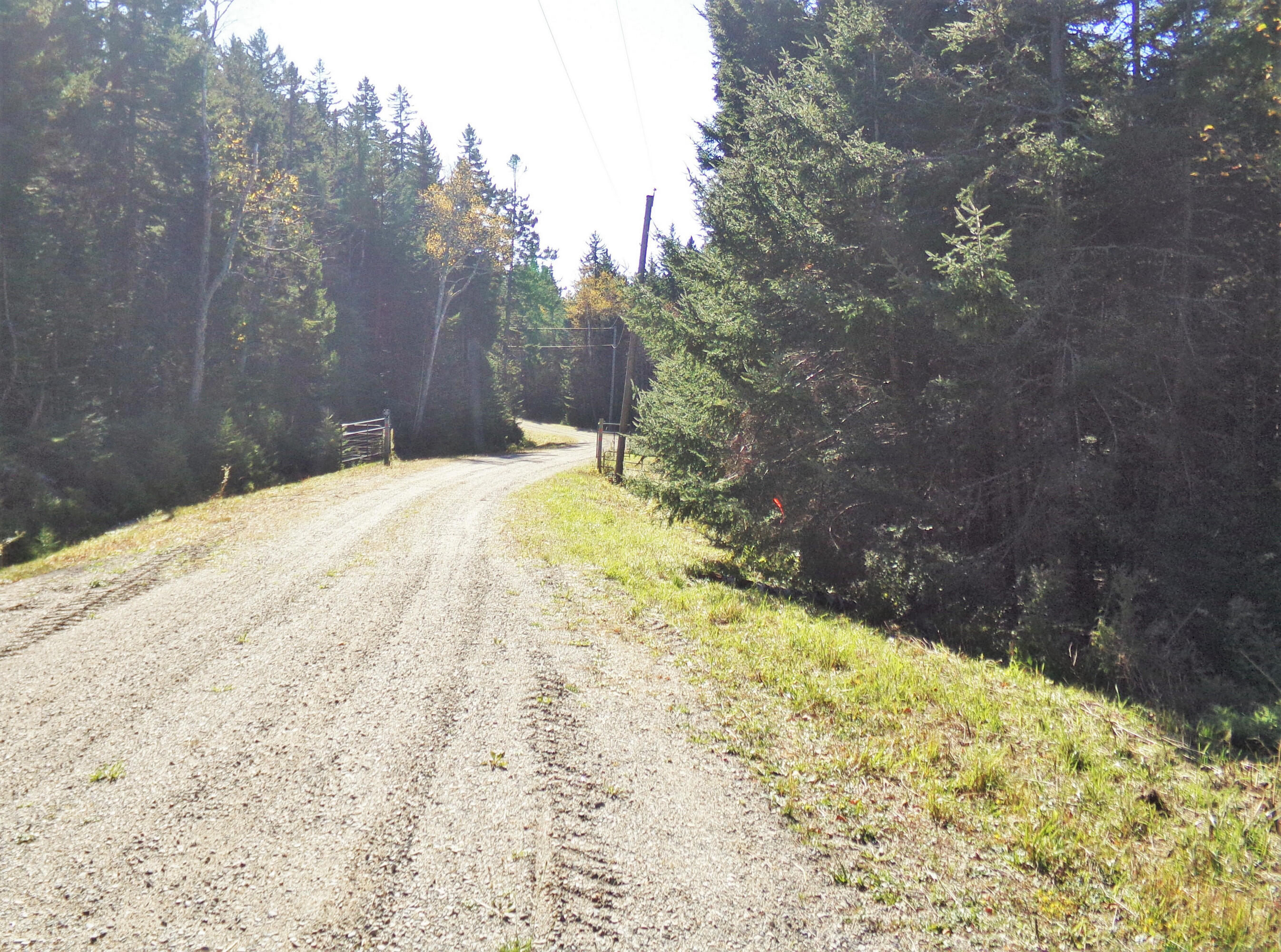2 Johnson Point Road Orrs Island, ME 04066 - Photo 13 of 20 15jp.135_2220.f