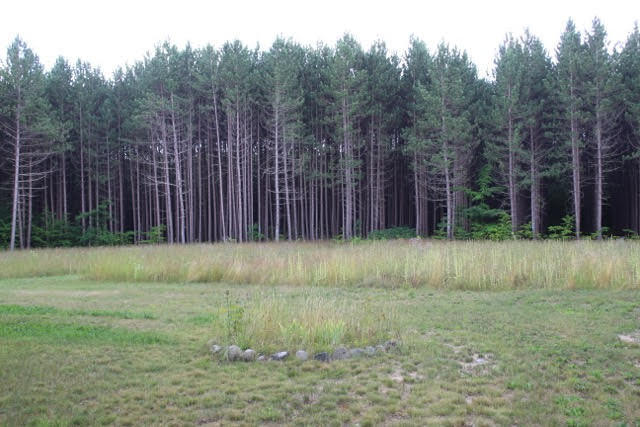 11530 Hartwick Road Frederic, MI 49733 - Photo 17 of 49 Gallery Image 17