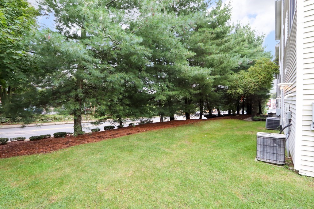 995 Trapelo Road, Unit 5 Waltham, MA 02452 - Photo 31 of 32 a view of a park with large trees