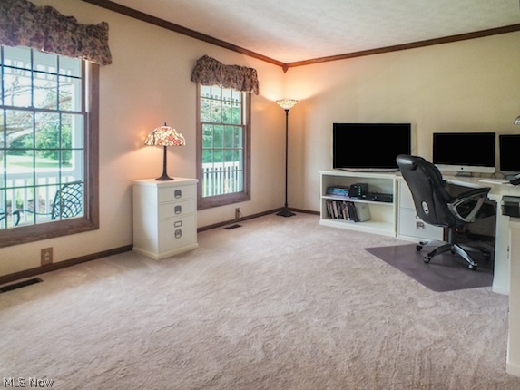 19050 Ridgeview Trail Chagrin Falls, OH 44023 - Photo 8 of 19 Gallery Image 8