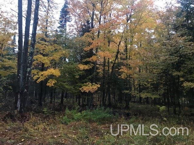 Tbd Bates-Amasa Road Iron River, MI 49935 - Photo 4 of 9