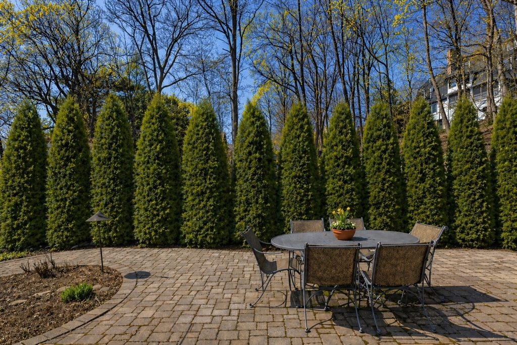 2 Mason Terrace Brookline, MA 02446 - Photo 38 of 38