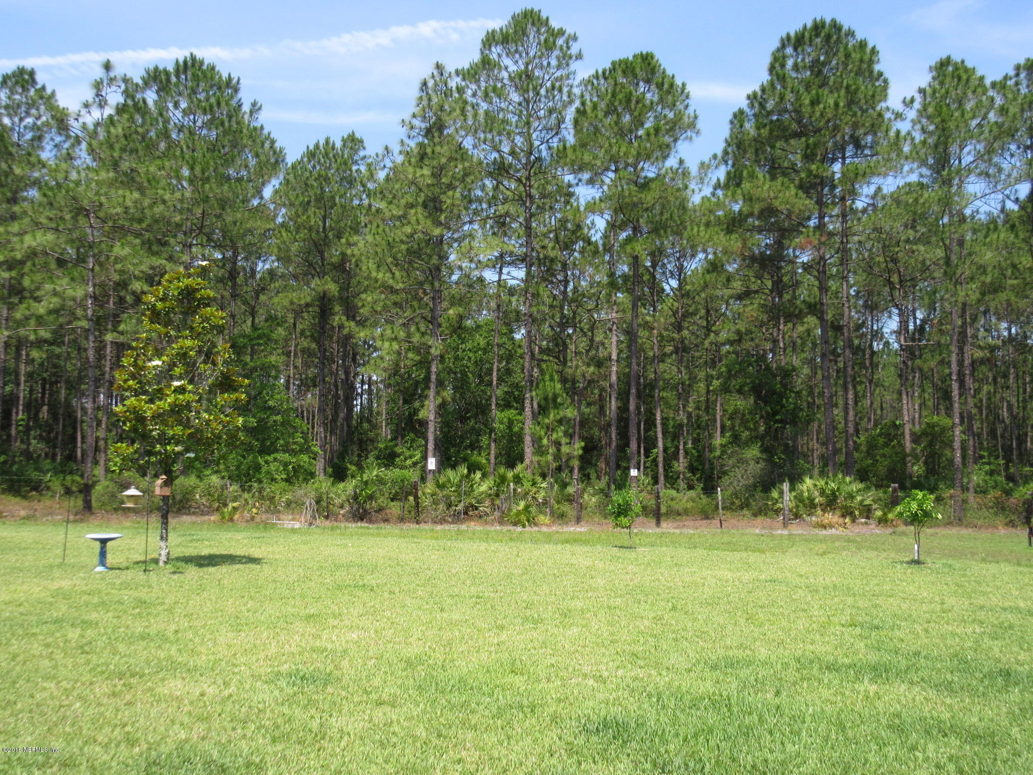 11185 Lothmore Road, Unit 6A Jacksonville, FL 32221 - Photo 76 of 92 IMG_4241