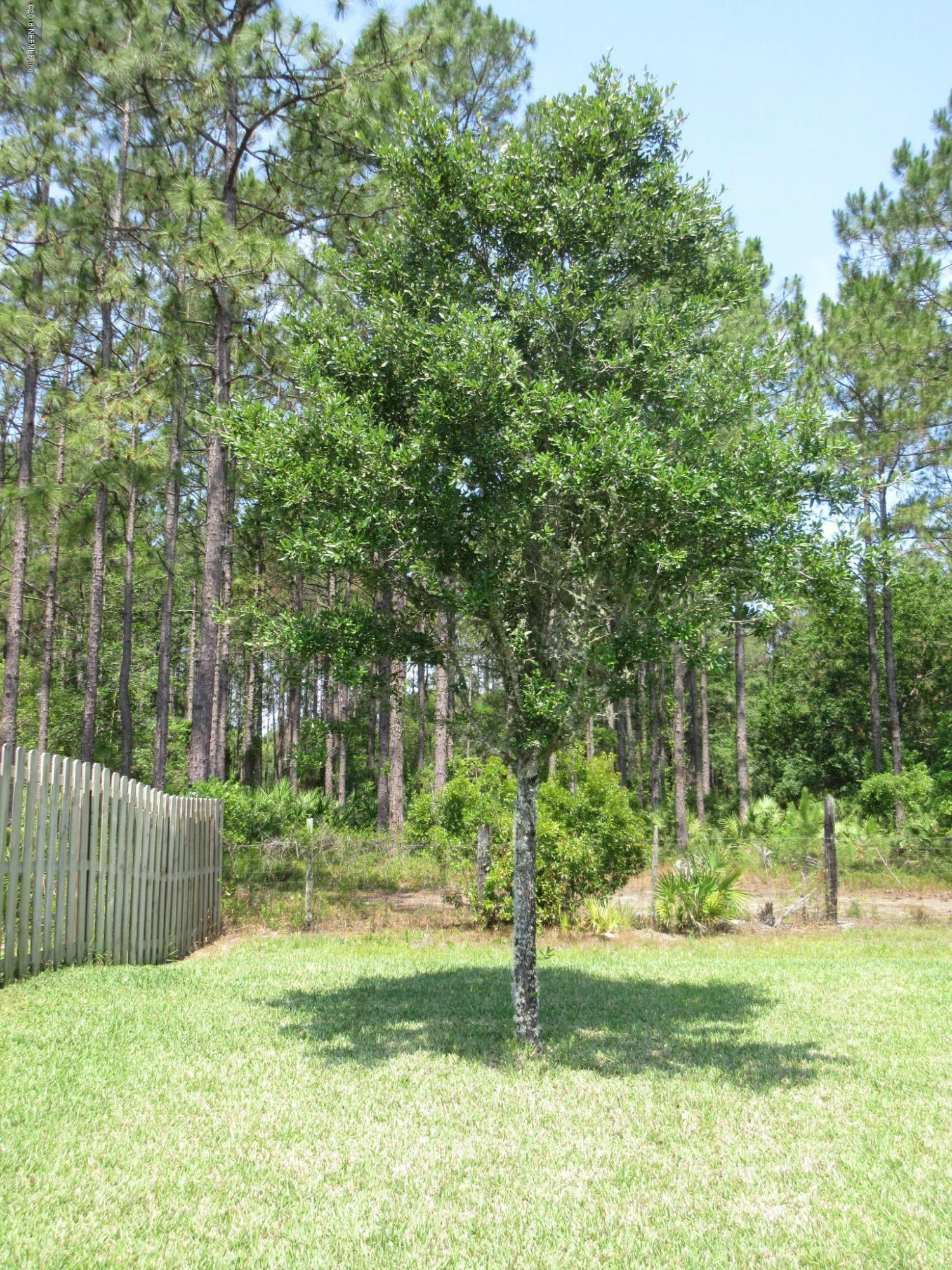 11185 Lothmore Road, Unit 6A Jacksonville, FL 32221 - Photo 81 of 92 IMG_4246
