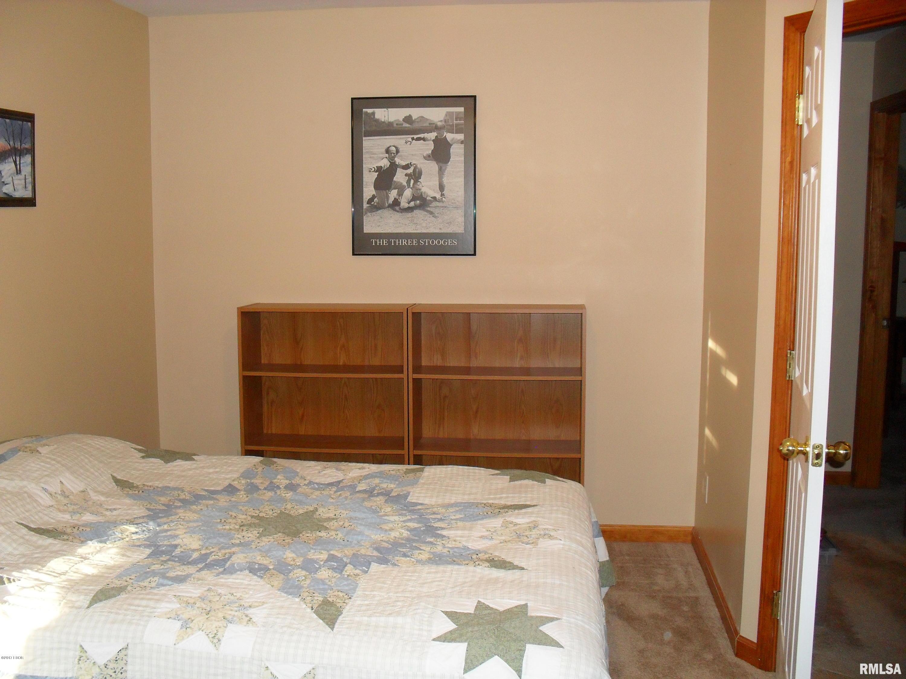 359 Dunivan Road Murphysboro, IL 62966 - Photo 36 of 41