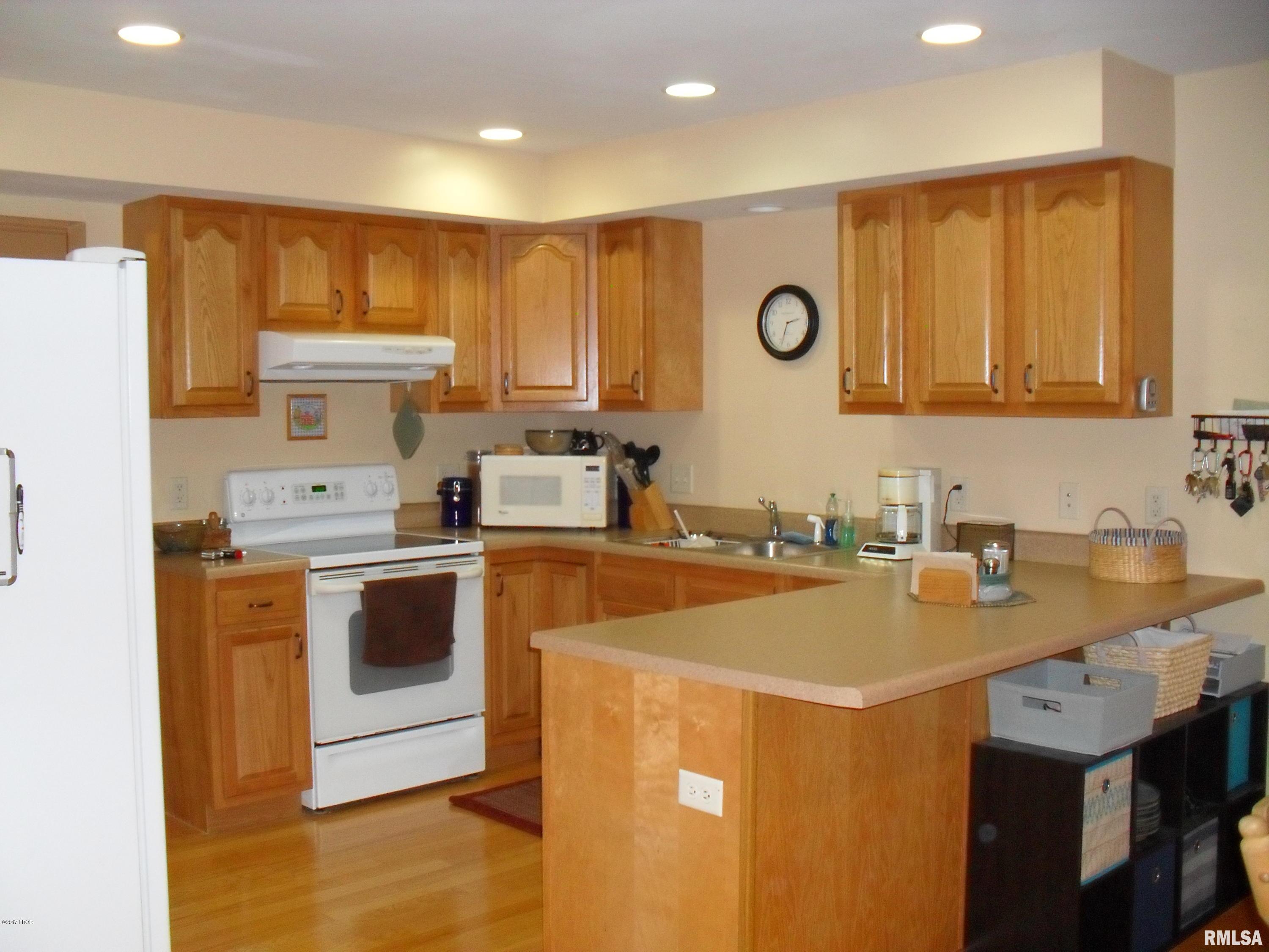 359 Dunivan Road Murphysboro, IL 62966 - Photo 6 of 41