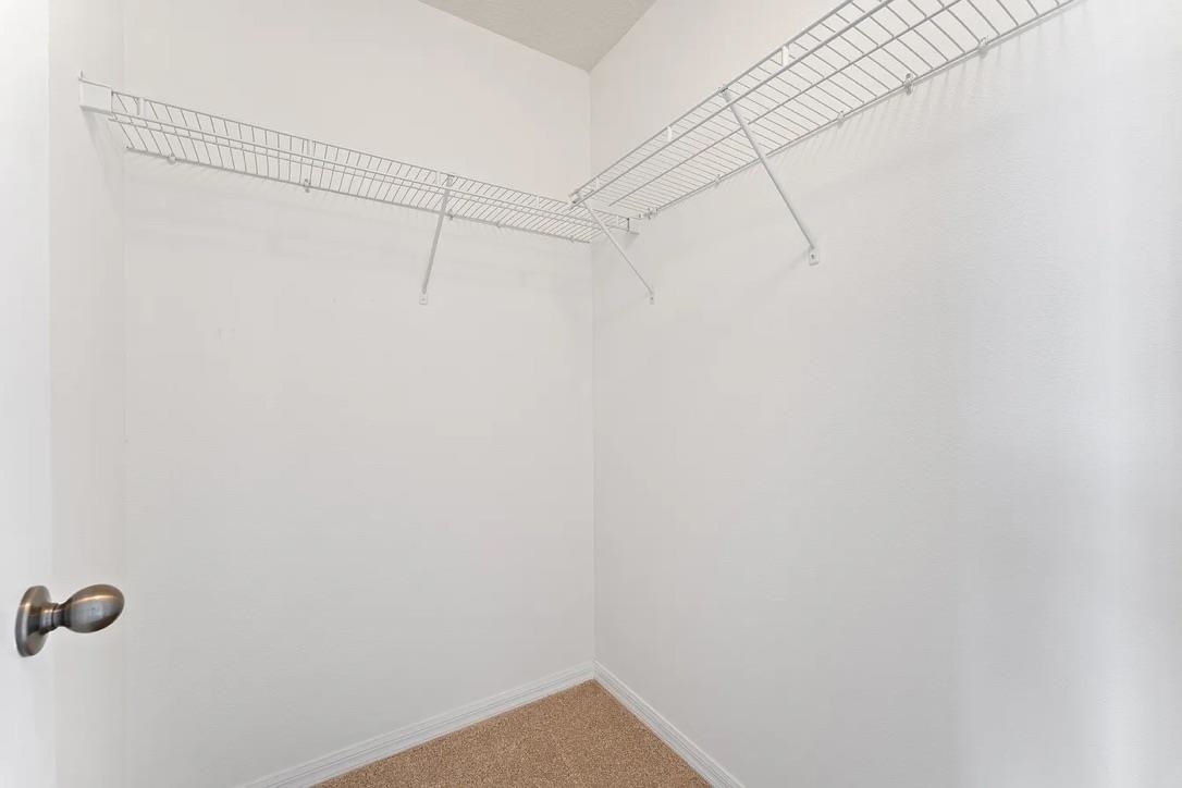 308 Syrah Way St. Augustine, FL 32084 - Photo 12 of 24 a view of a room with racks on the wall