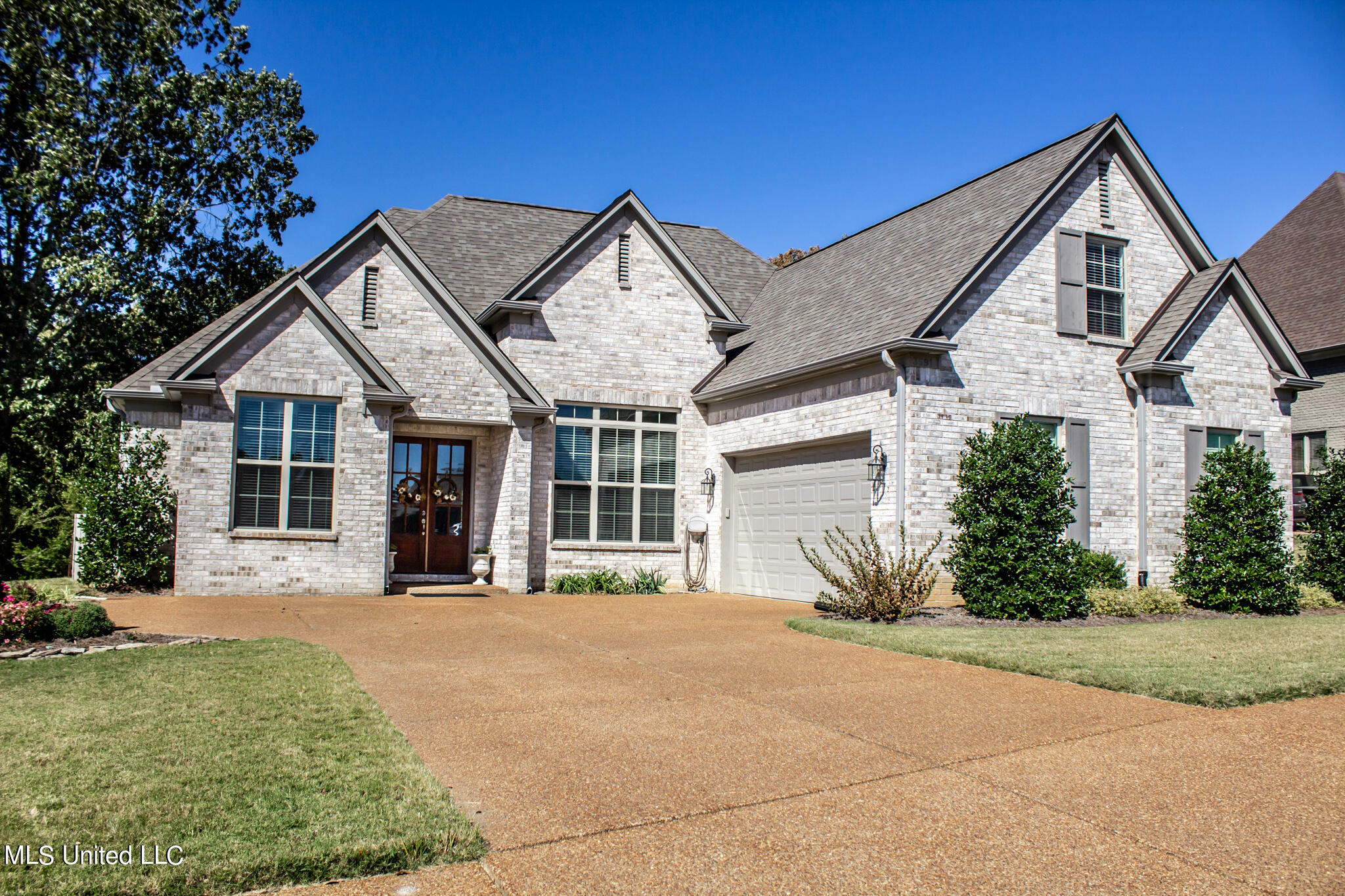 IMG_6317
