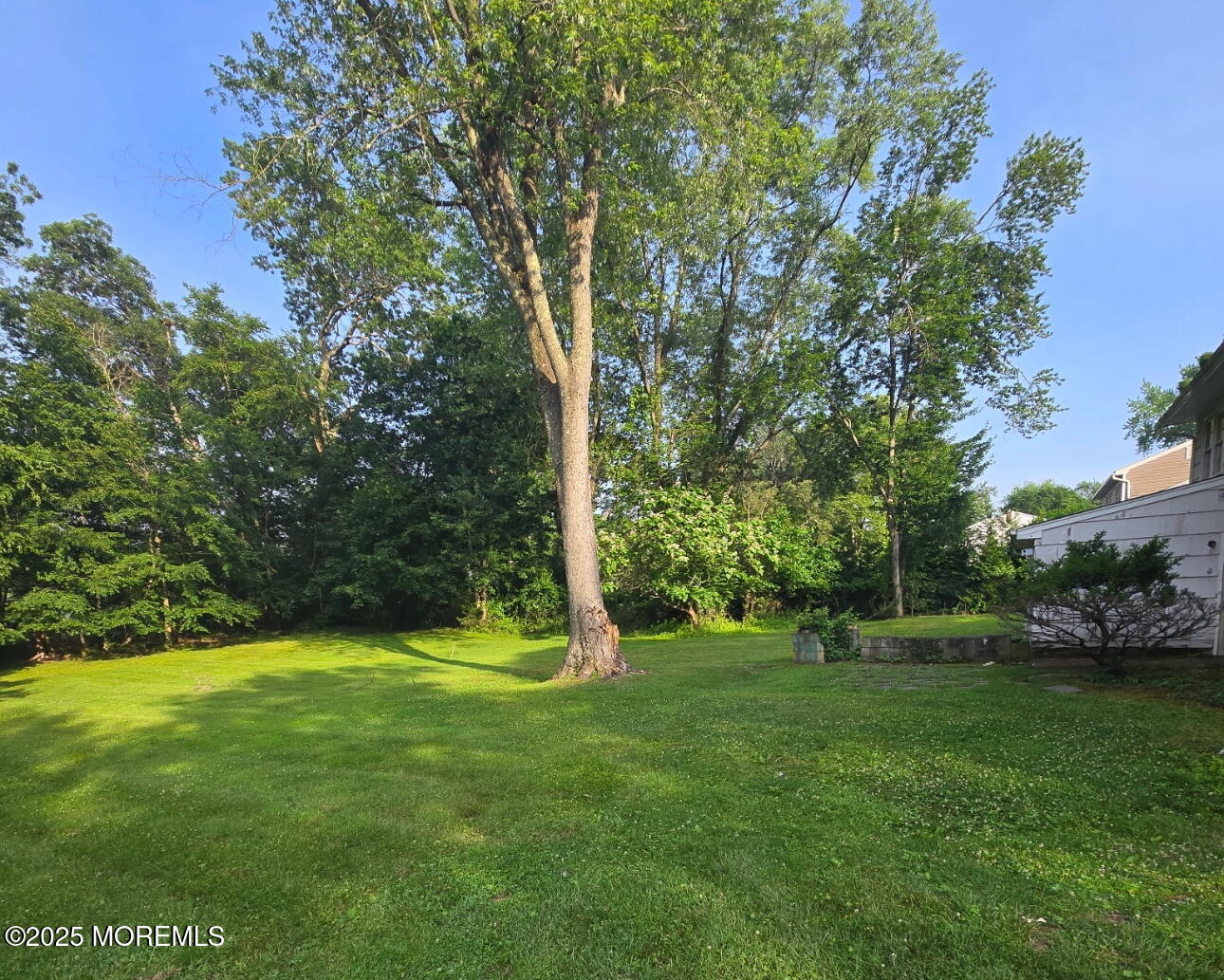 118 Jumping Brook Road Lincroft, NJ 07738 - Photo 2 of 7 Backyard 1