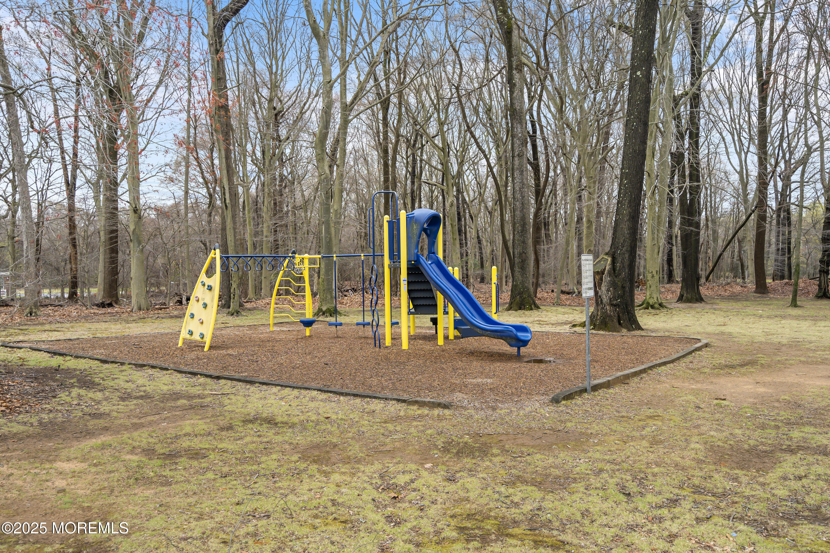 118 Jumping Brook Road Lincroft, NJ 07738 - Photo 6 of 7 Lincroft Playground