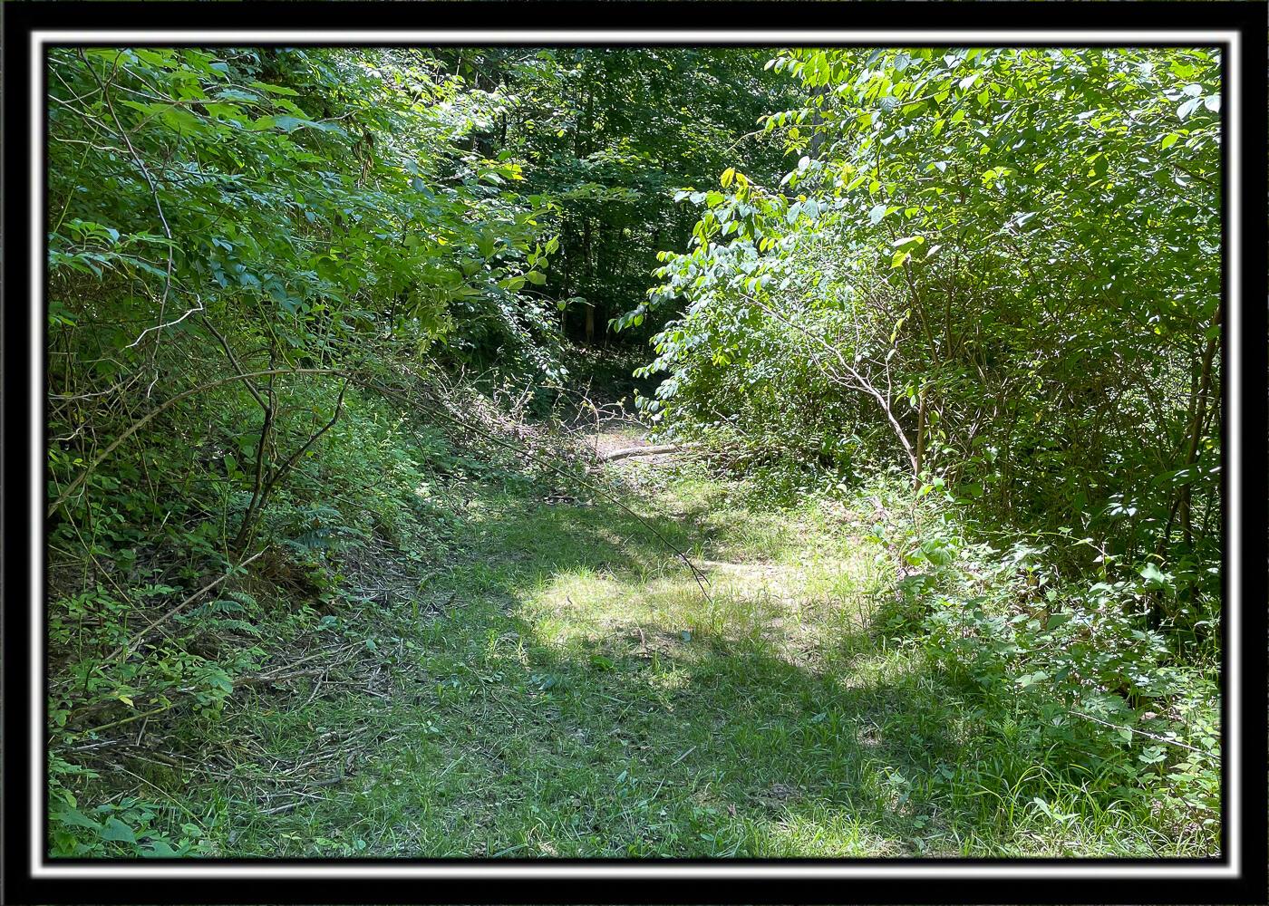 0 Hoop Pole Road, Unit TRACT 13 Roseville, OH 43777 - Photo 37 of 62 CT-18