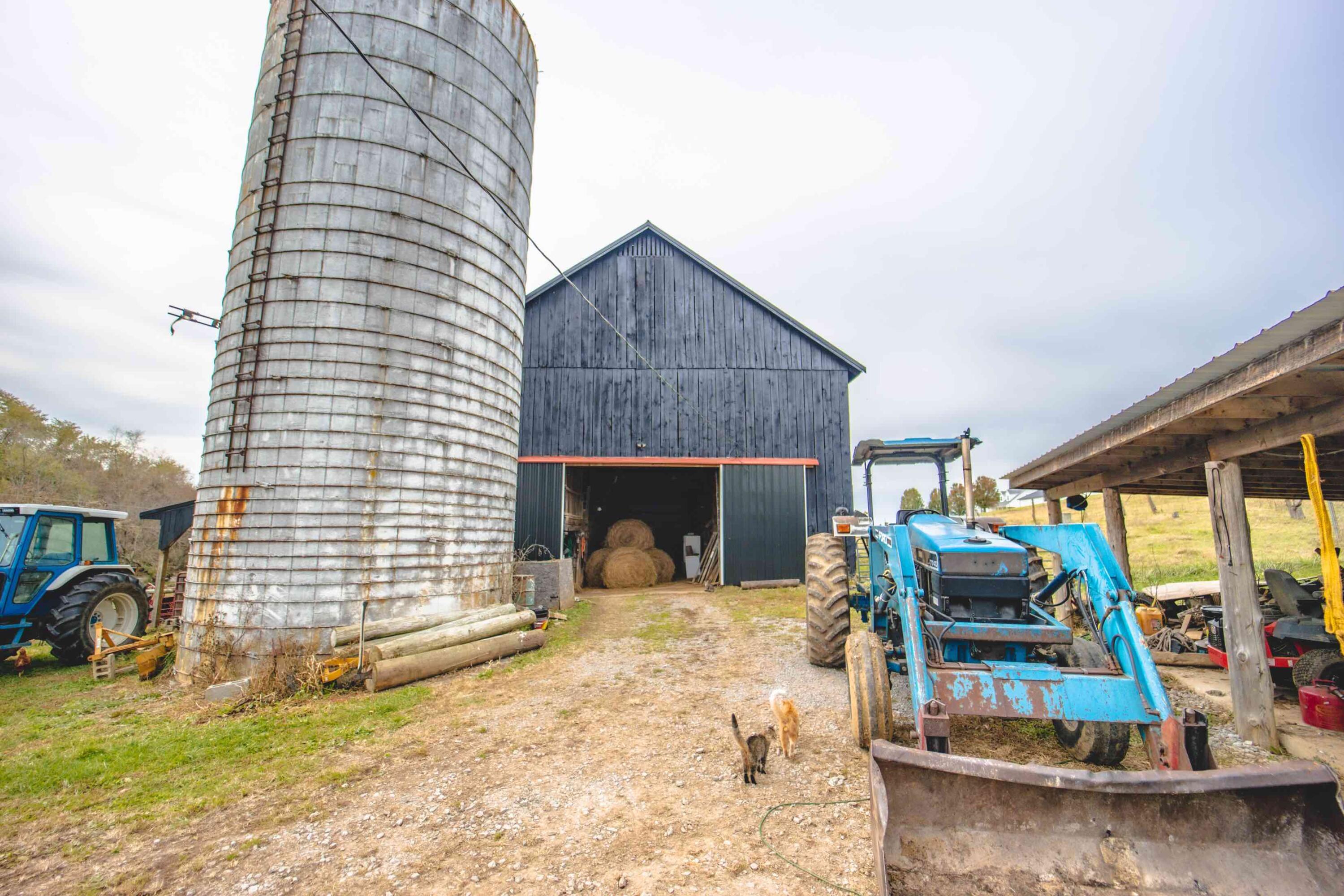 2363 Fall Lick Road Lancaster, KY 40444 - Photo 64 of 79 0S1A9117