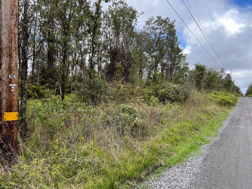 76 Kokokahi Road Mountain View, HI 96771 - Photo 4 of 10 Gallery Image 4