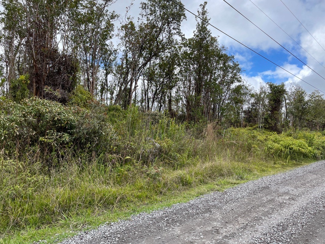76 Kokokahi Road Mountain View, HI 96771 - Photo 10 of 10 Gallery Image 10