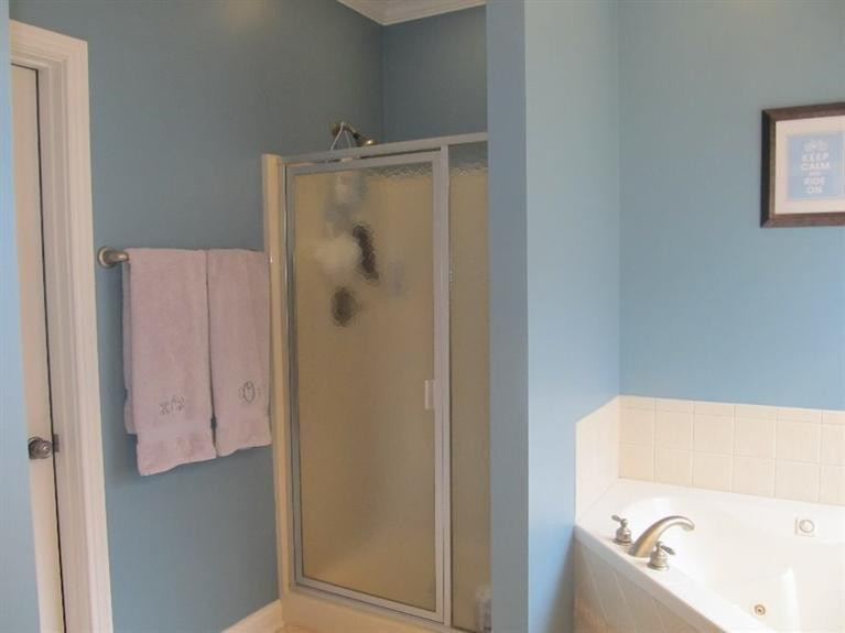 3708 Ridgeview Way Lexington, KY 40509 - Photo 15 of 29 Master bath with whirlpool tub, separate