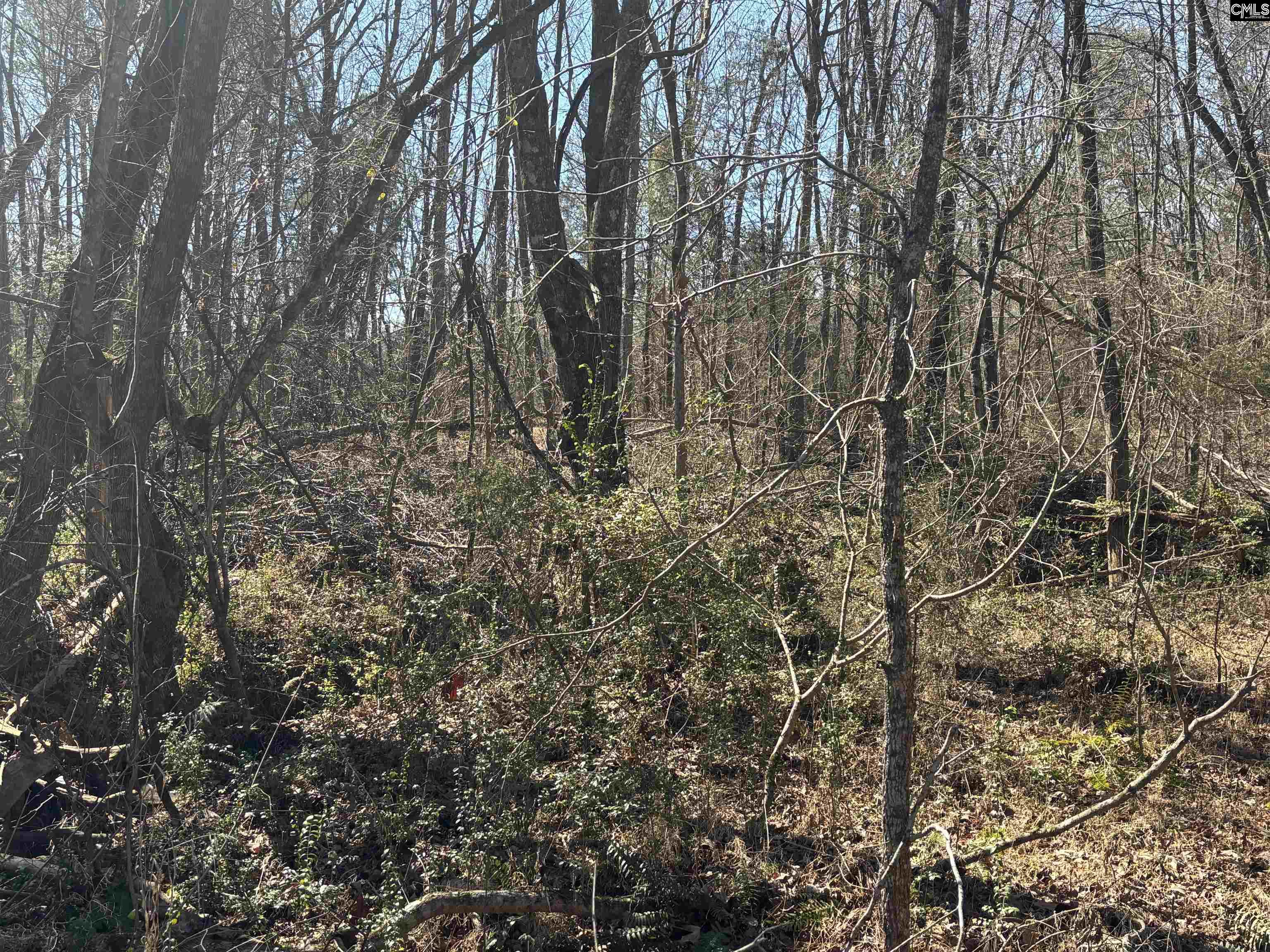 0 Bethany Road Saluda, SC 29138 - Photo 21 of 24