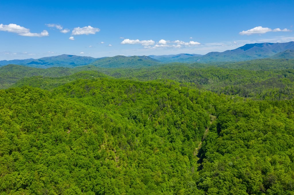 0 Henry Town Road Sevierville, TN 37876 - Photo 12 of 38 Gallery Image 12