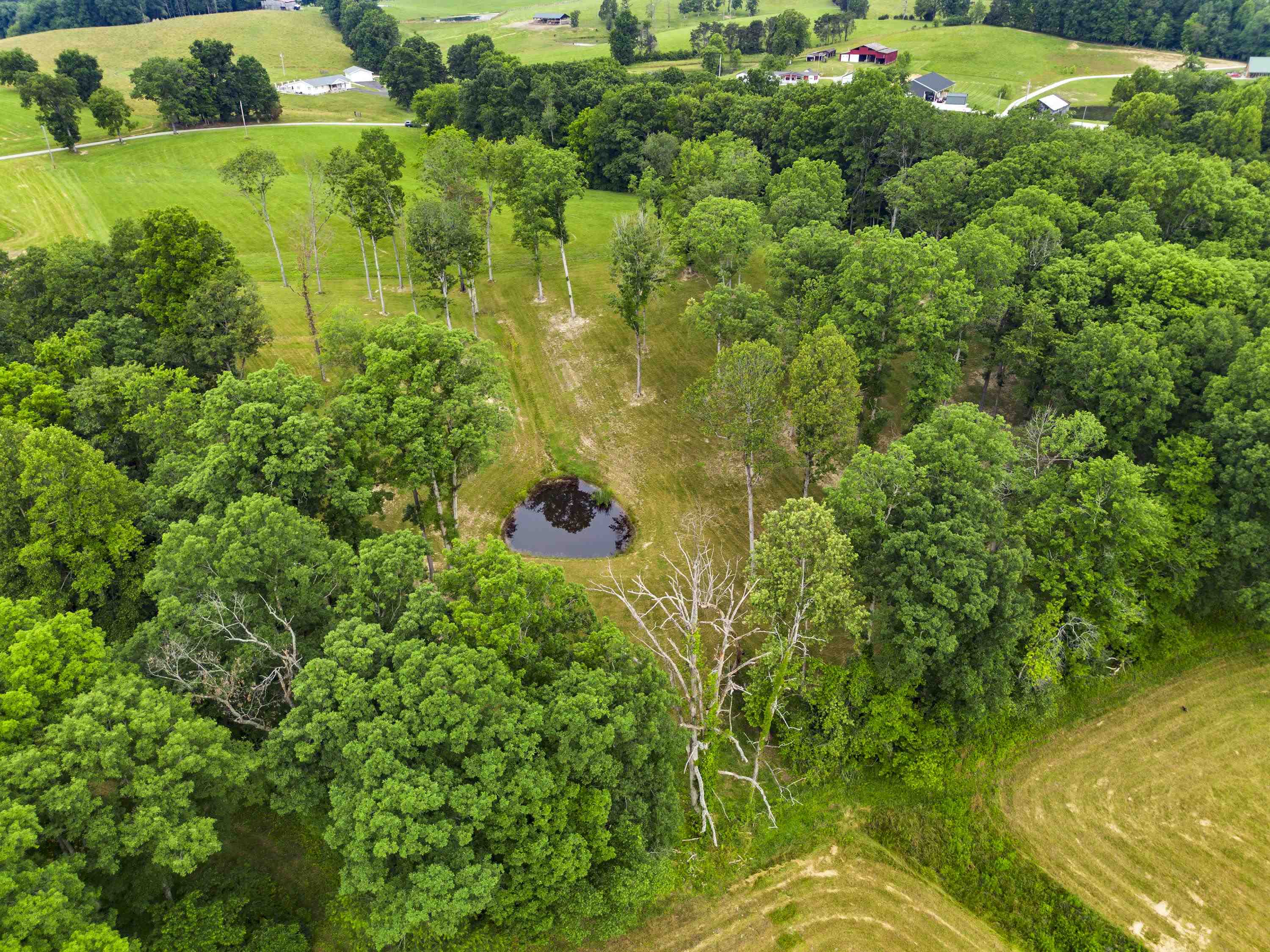 0 Salem Road Grayson, KY 41143 - Photo 7 of 25