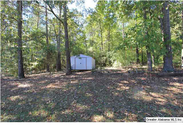 1028 Old Mill Road Anniston, AL 36207 - Photo 28 of 28