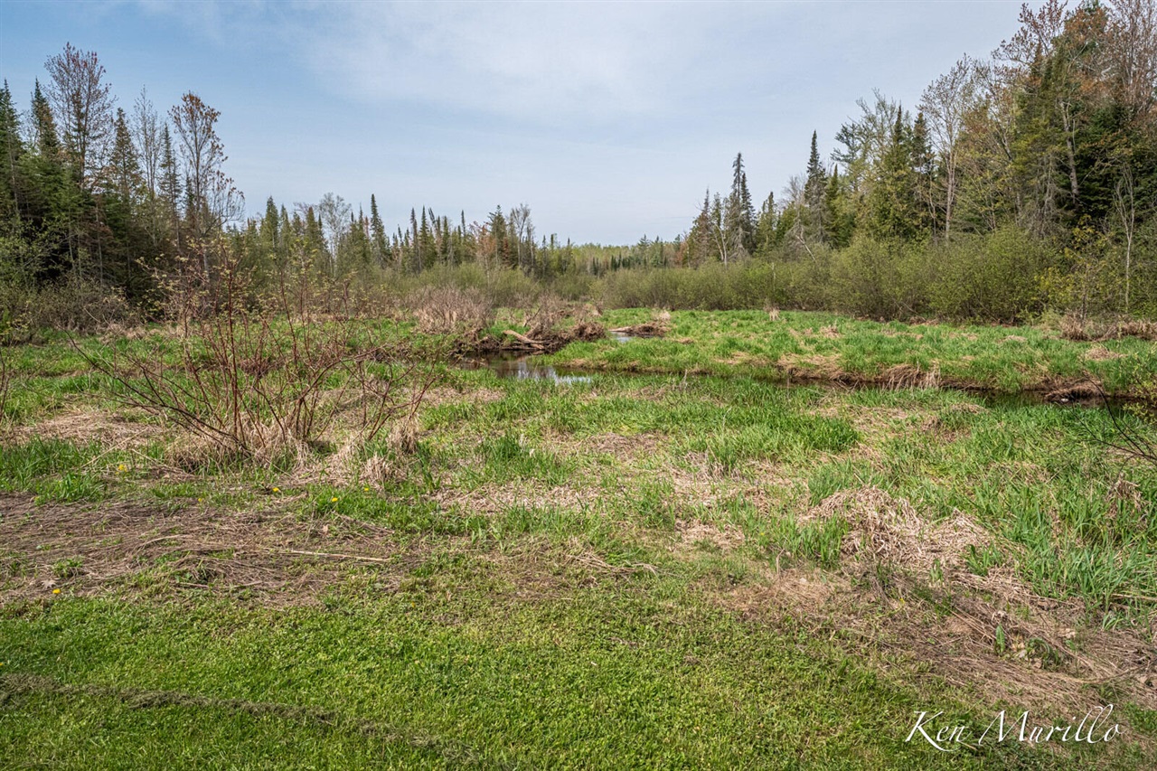 1519 North Roscommon Road Roscommon, MI 48653 - Photo 62 of 72
